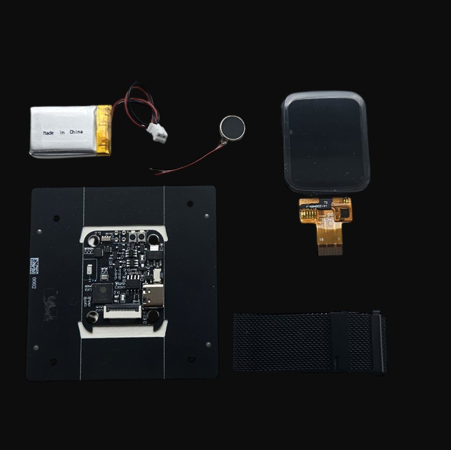 The kit parts: board, battery, vibration motor, screen and strap