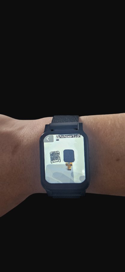 EWatch on the wrist
